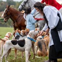 Blessing of Hounds