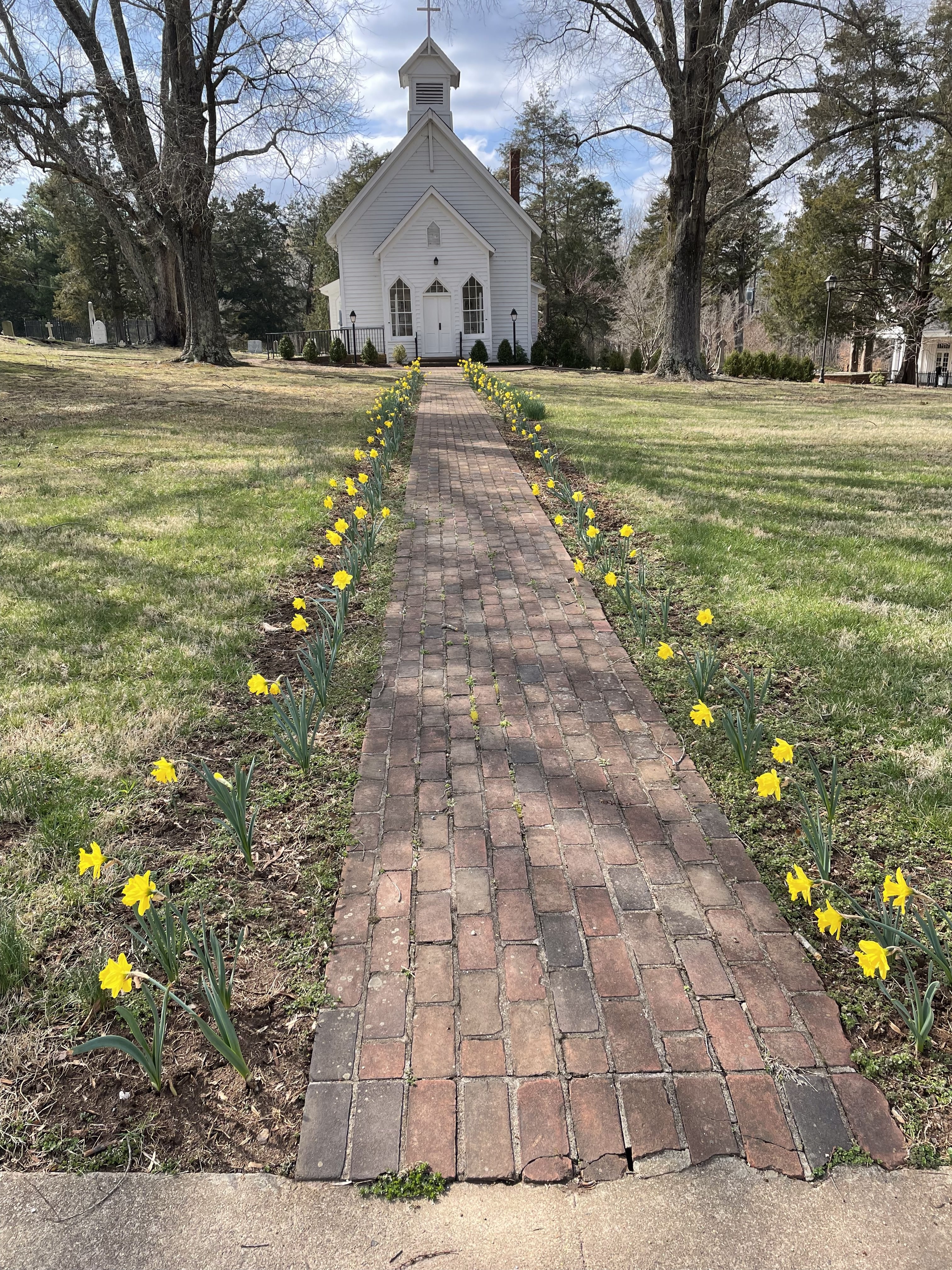 spring