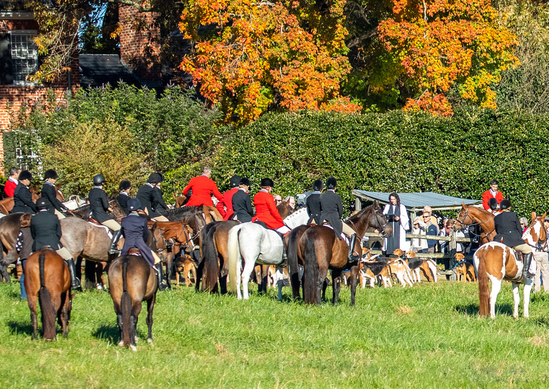 blessing of the hounds