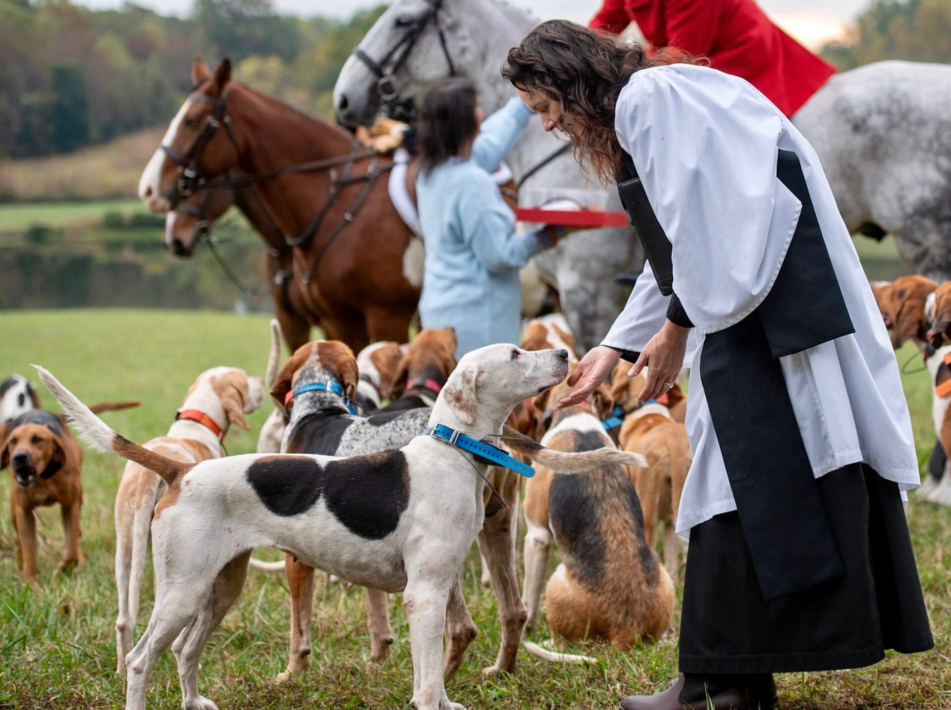 blessing of the hounds