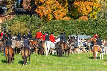 blessing of the hounds